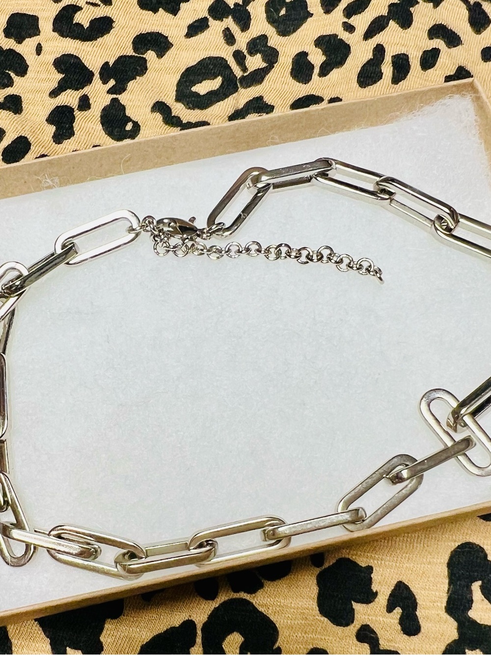 NWOT South Moon Under silver chain link necklace